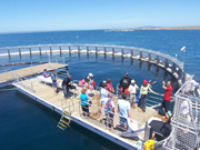 Adventure Bay Cruise Port Lincoln