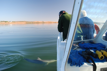 Port Augusta Dolphins DekyZayne