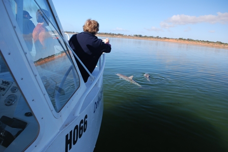 Port Augusta Dolphins DekyZayne