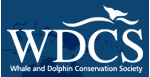 Port Augusta Cruise Wild Dolphin Society