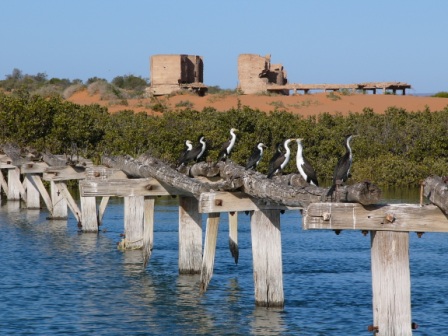 Flinders Outback Cruise